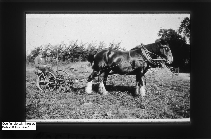 Coe uncle with Horses Britain and Duchess